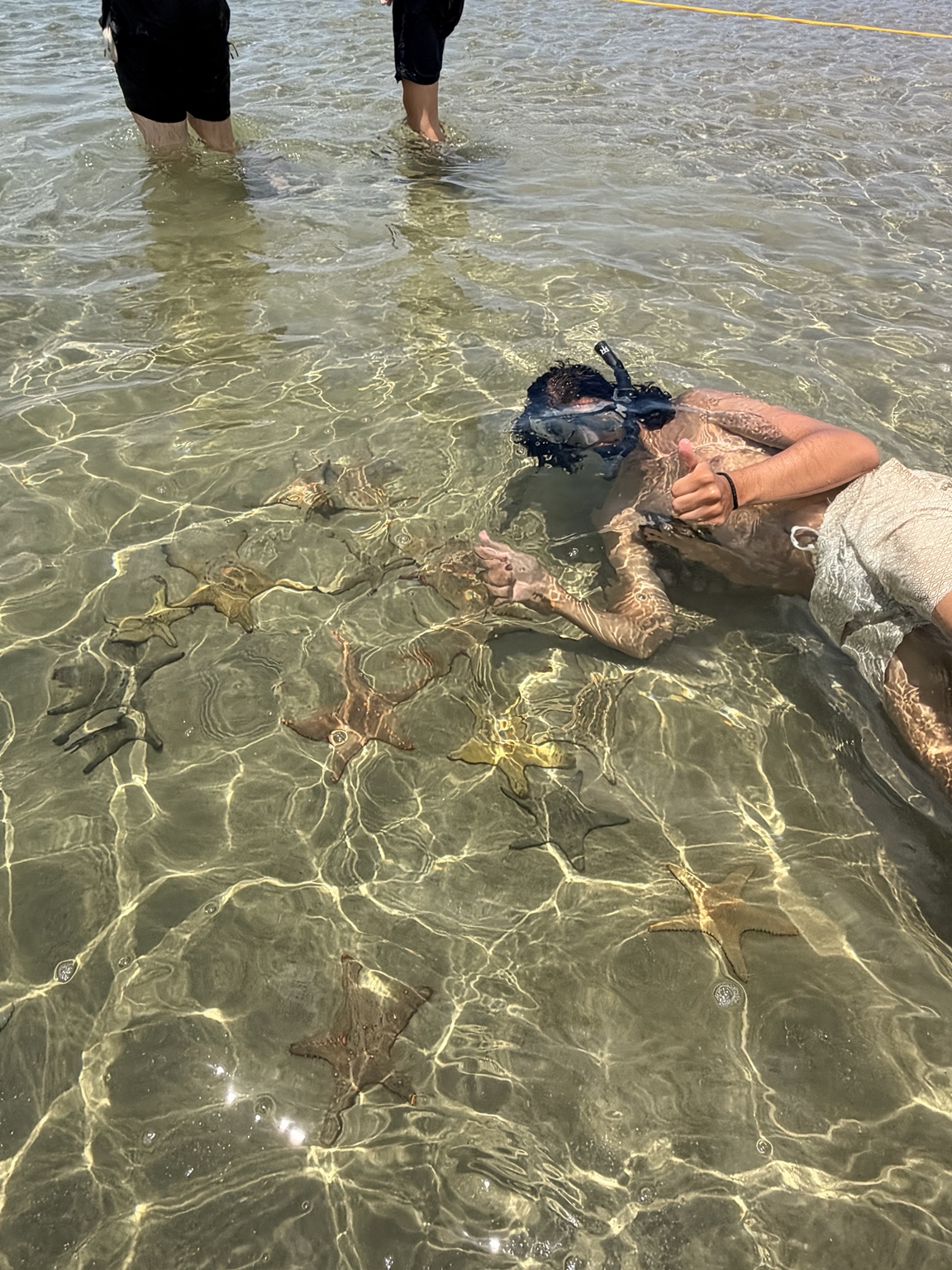 Discovering starfish in the shallows