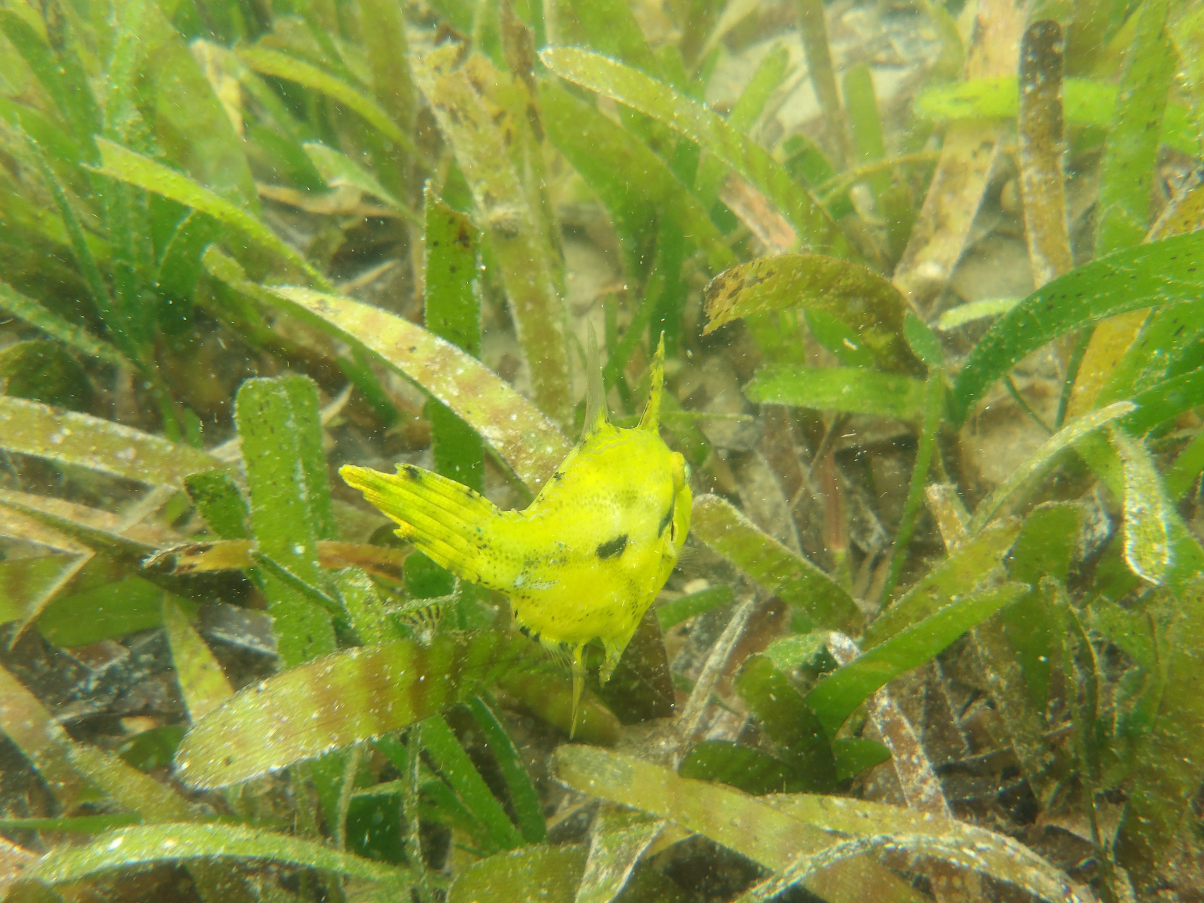 Colour beneath the shallows