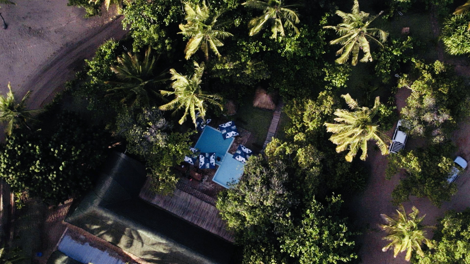 Barra Sun among the palms