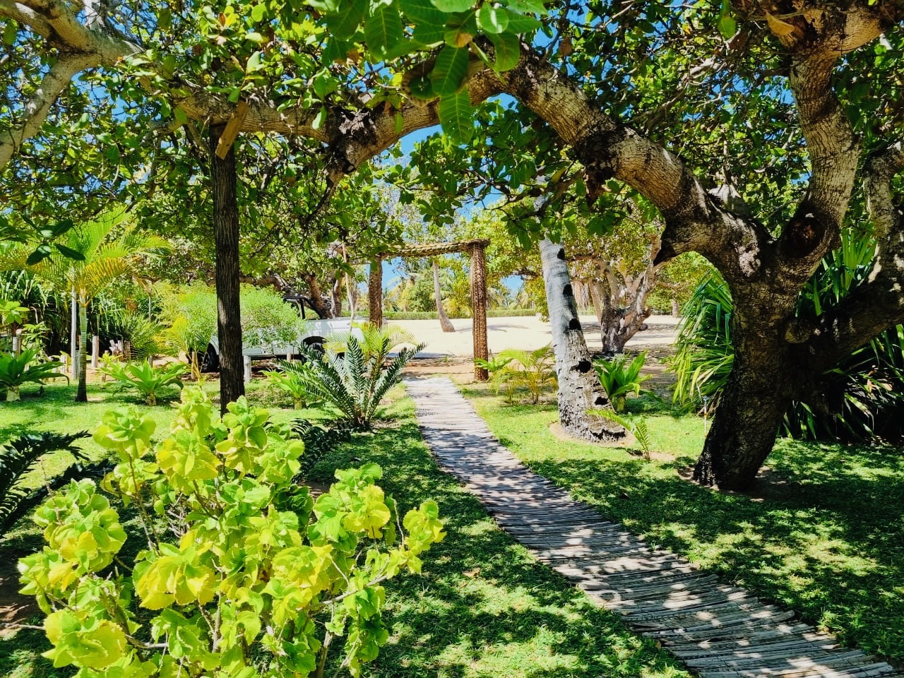 Tropical garden living